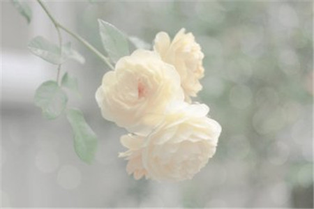 云南成人高考試題簡(jiǎn)單，錄取分?jǐn)?shù)線低，隨便考考就能過(guò)嗎？
