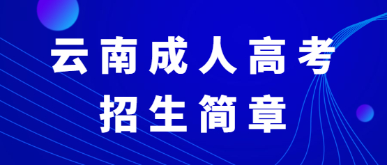 2021年云南大學(xué)成人高考招生簡章