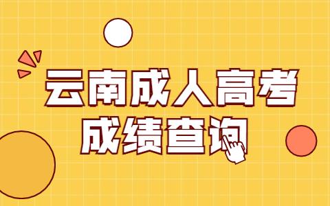 云南成人高考成績(jī)查詢