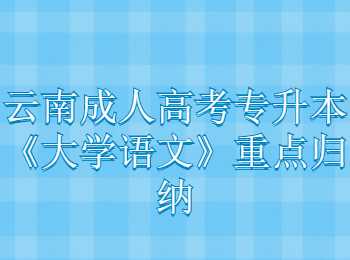 云南成人高考專升本