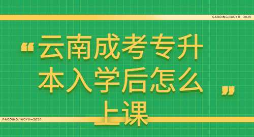 云南成考專升本