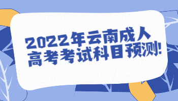 云南成人高考考試科目