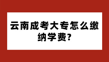 云南成考大專怎么繳納學(xué)費(fèi)