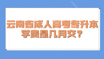 云南省成人高考專升本學(xué)費(fèi)