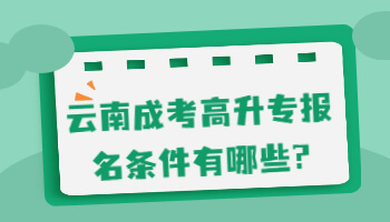 成考高升專報名