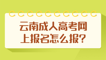 云南成人高考網上報名