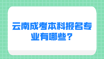 云南成考本科報名專業(yè)