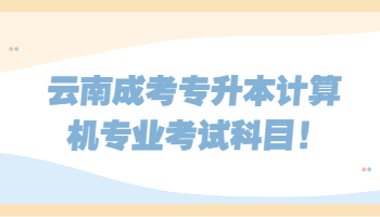云南成考專升本計(jì)算機(jī)專業(yè)