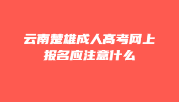 云南楚雄成人高考網
