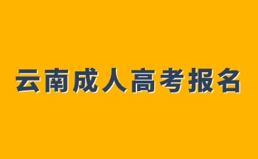 2024年云南成人高考報名可以跨專業嗎？
